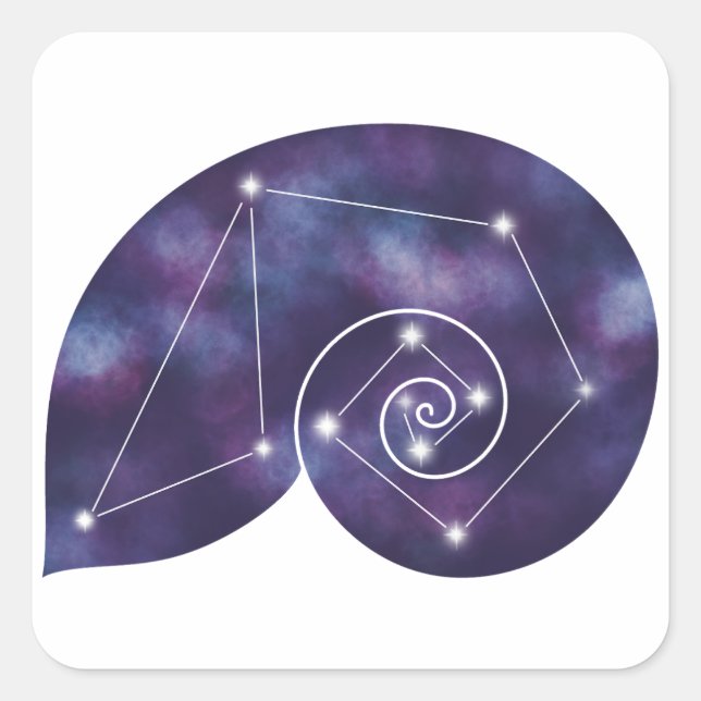 Sticker für Nautilus-Muschel (Vorderseite)