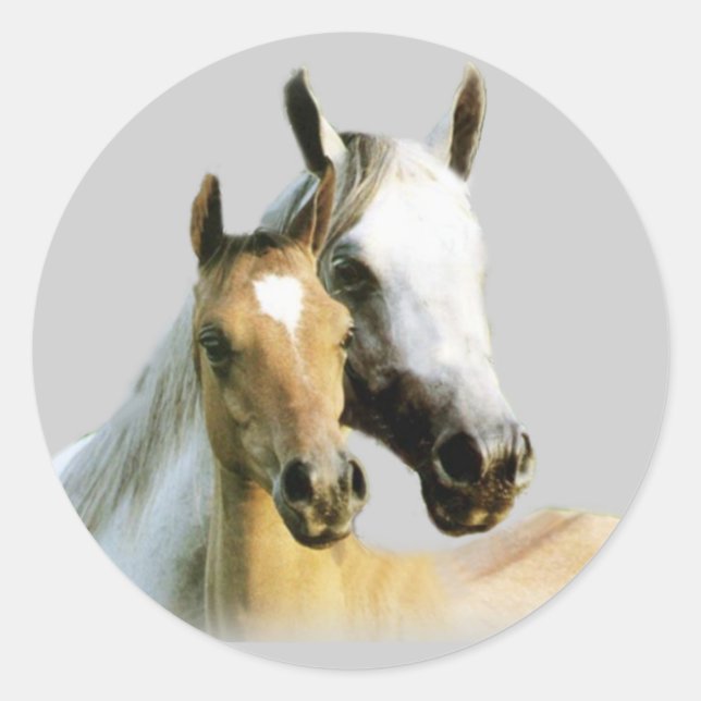 Sticker für Pferde (Vorderseite)