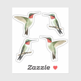 Sticker für Ruby-throated Hummingbirds