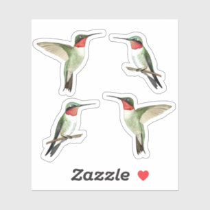 Sticker für Ruby-throated Hummingbirds