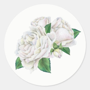Sticker für weiße Rosen