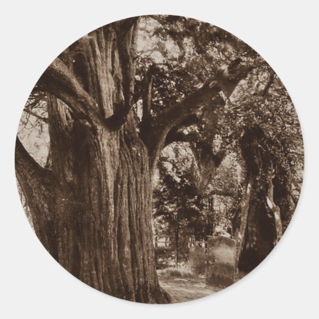 Sticker Genealogie Kirchenhof Alte Baumsteine (Vorderseite)