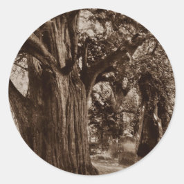 Sticker Genealogie Kirchenhof Alte Baumsteine