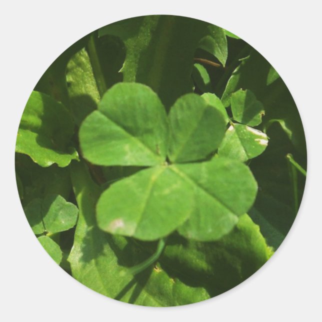 Sticker Glücksbringer (Vorderseite)