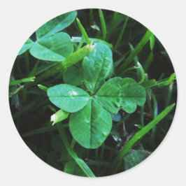 Sticker Glücksbringer