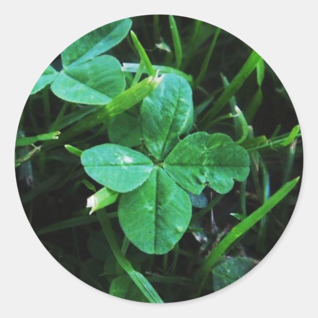 Sticker Glücksbringer (Vorderseite)