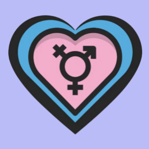 Sticker Herz des Trans Stolzes