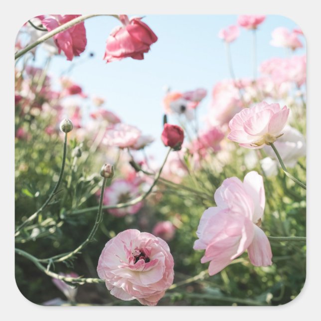 Sticker mit rosa Blumengarten (Vorderseite)