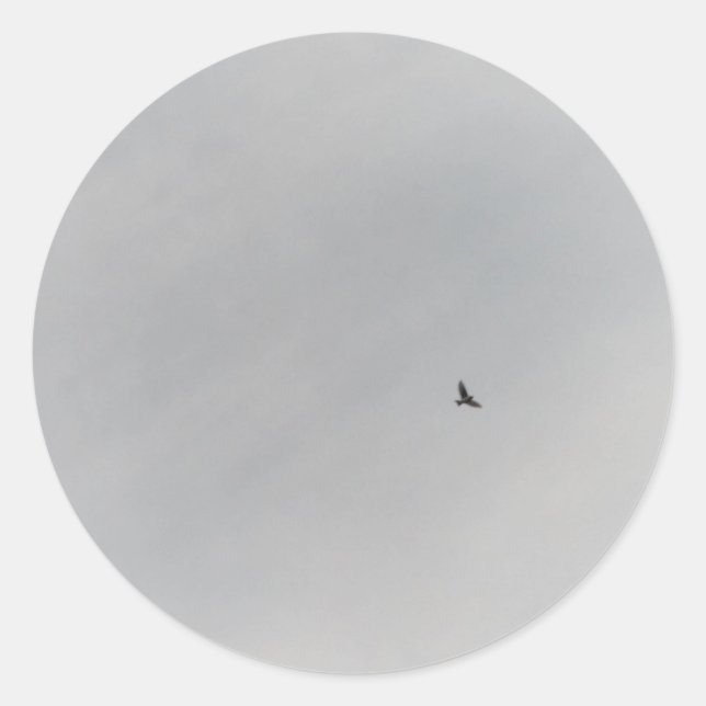 STICKER ROLL  (Vorderseite)