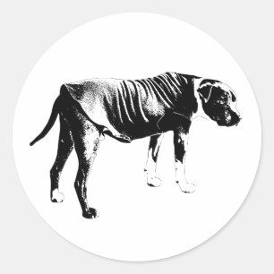 Sticker Silhouette, Helle Kante
