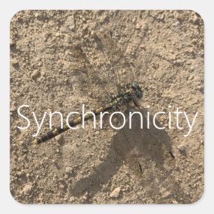 Sticker 'Synchronicity'