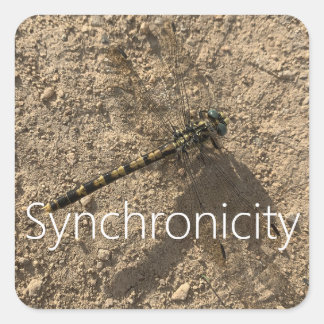 Sticker 'Synchronicity'