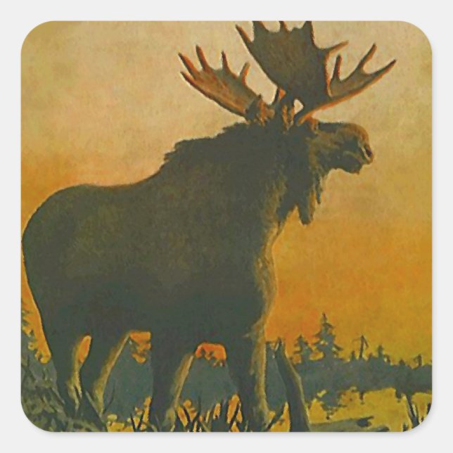Sticker Wildlife Bull Moose @ Twilight Sundown (Vorderseite)