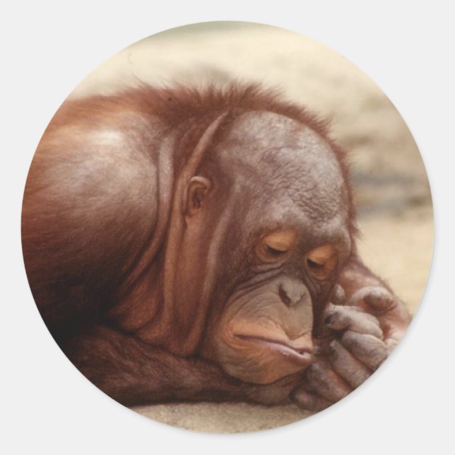 Stickerei Runder Aufkleber (Vorderseite)