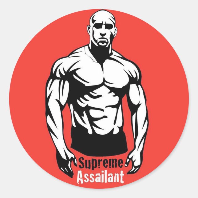 STICKERENTSCHEIDUNGEN FÜR IHR FAHRZEUG RUNDER AUFKLEBER (Vorderseite)