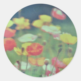 Stickerrolle runder aufkleber