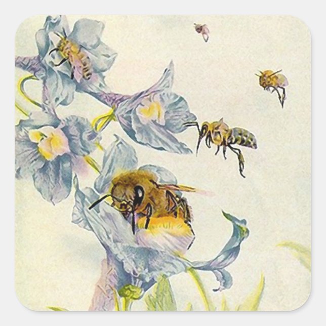STICKERS Bio HONEY Imkerbienen Blume (Vorderseite)