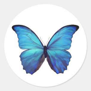 Stickers Blauer Morpho-Schmetterling