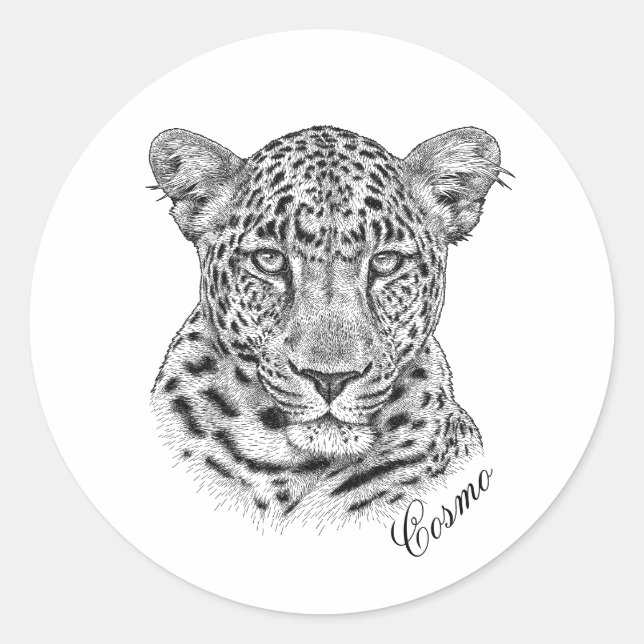 Stickers - Cosmo (Vorderseite)