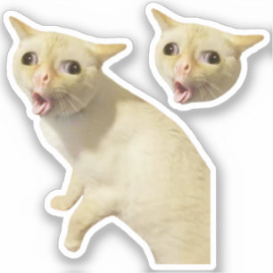 Stickers Coughing Cat Meme Aufkleber