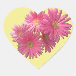 Stickers - Dunkelrosa Gerbera Daisies