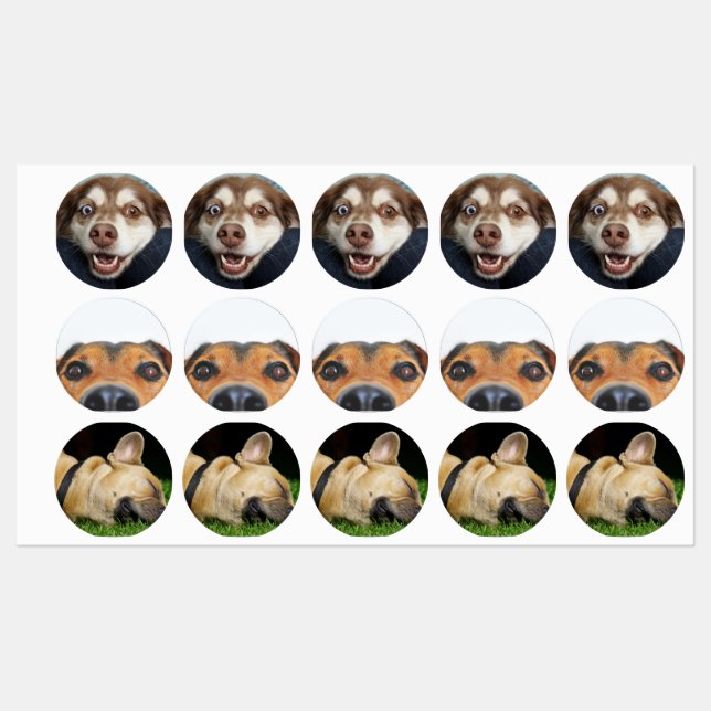 Stickers/etiquetas con imagenes de perritos etiketten (Blatt)