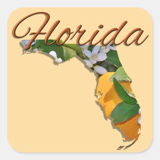 Stickers - FLORIDA (Vorderseite)