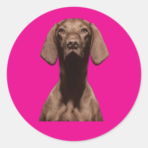 Stickers Hunde Liebhaber