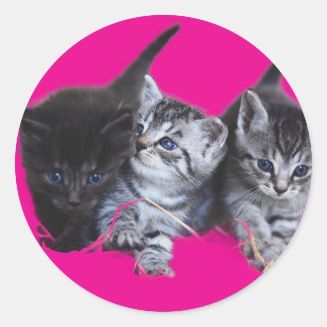 Stickers Katzenliebhaber (Vorderseite)