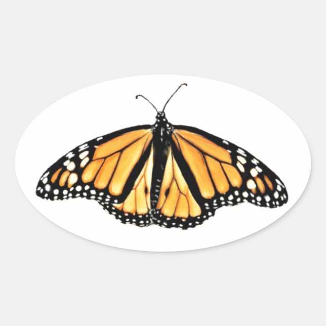Stickers Male Monarch Butterfly (Vorderseite)