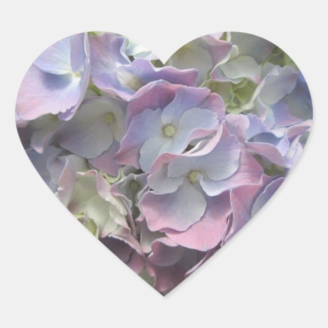 Stickers - Pastel Rainbow Hydrangea (Vorderseite)