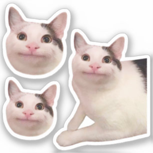 Stickers Polie Cat Meme Aufkleber