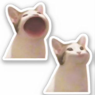 Stickers Pop Cat Meme Aufkleber