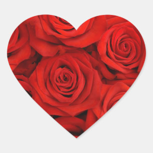 Stickers-Rote Rosen Herz-Aufkleber