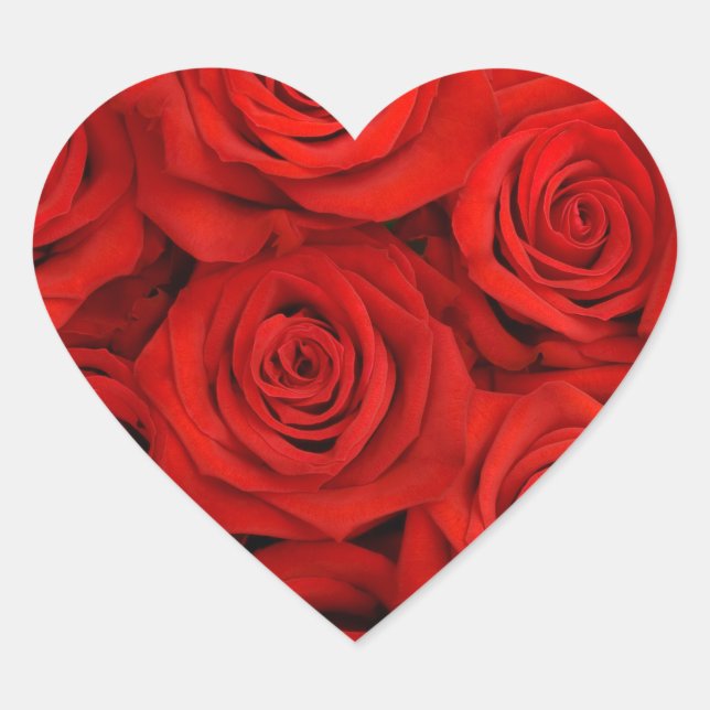 Stickers-Rote Rosen Herz-Aufkleber (Vorderseite)