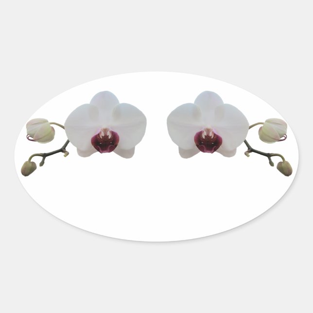 Stickers - Ruby-Lipped White Orchid (Vorderseite)