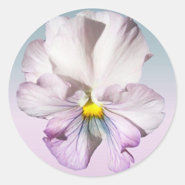 Stickers - Ruffled Lavender Pansy (Vorderseite)