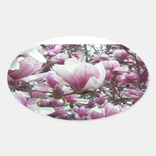 Stickers - Saucer Magnolia