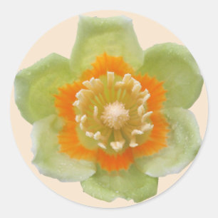 Stickers - Tulip Poplar Tulip auf Creme