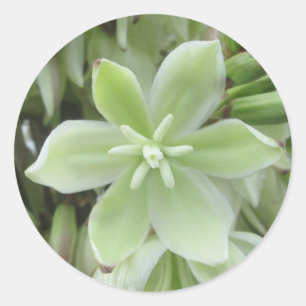 Stickers - Yucca-Blume
