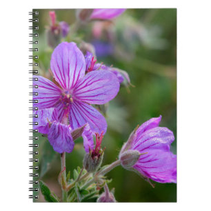 Stickige Wildblumen aus Geranium Notizblock