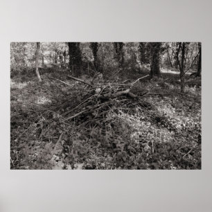 Sticks - Schwarz und Weiß warm Poster