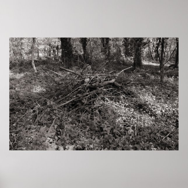 Sticks - Schwarz und Weiß warm Poster (Vorne)