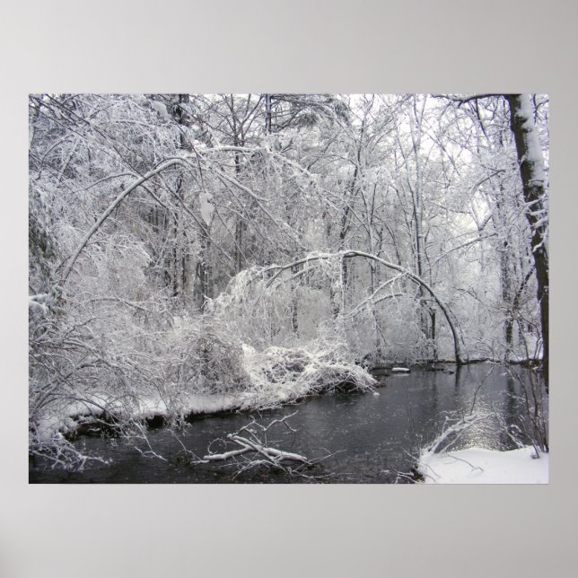 Sticky Snow 27 ~ Drucken Poster (Vorne)