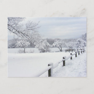 Sticky Snow 7 ~ Postkarte