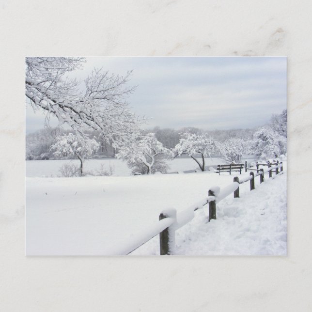 Sticky Snow 7 ~ Postkarte (Vorderseite)