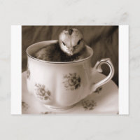 Stiefel in einem Teecup