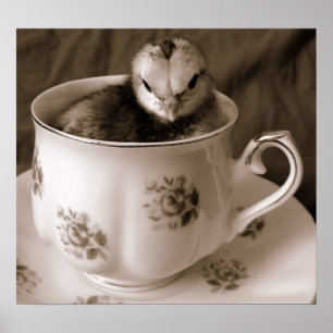 Stiefel in einer Tasse Tee Poster