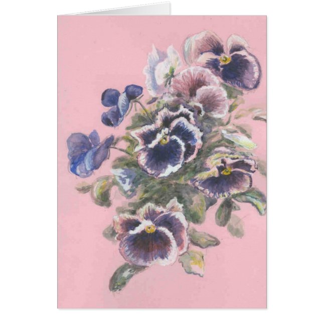 Stiefmütterchen (Vorne)