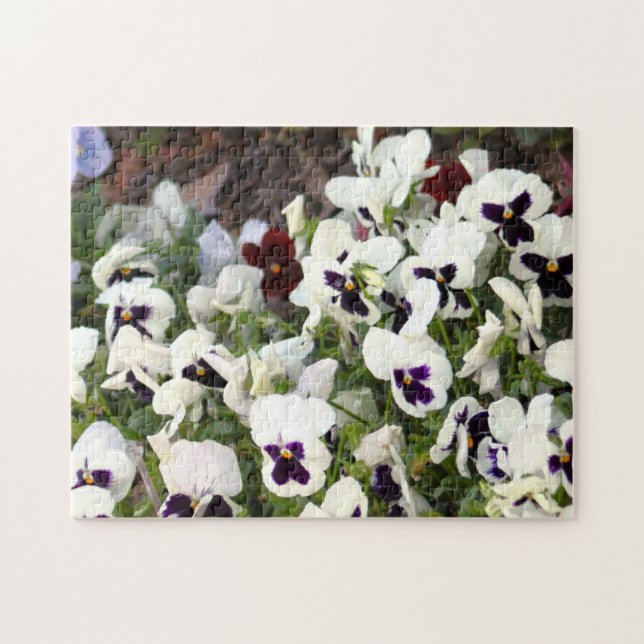 Stiefmütterchen Blumen Puzzle (Horizontal)